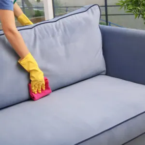 limpeza de sofa e dedetização