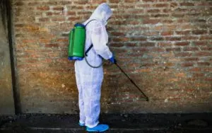Dedetizador de Mosquitos